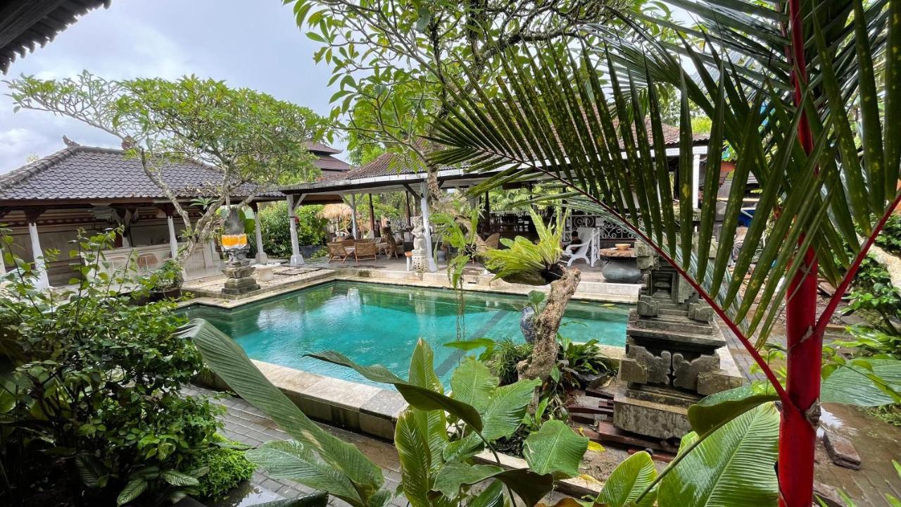 Hotel Chakra Living *